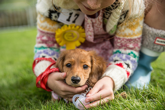 371_Woofstock2016_craigshaw