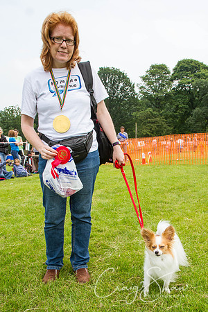 RSPCA Dog Day Afternoon
