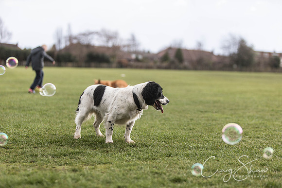 1399__SpringersFunDay_March2014_bluplanetphoto