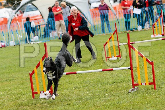 2572_SpringersFunDay2019_craigshawphoto
