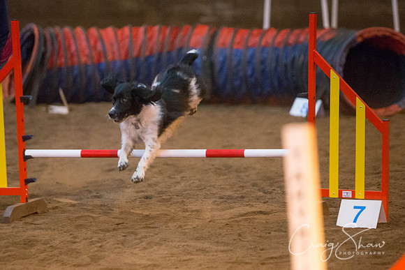 268_springfling2015_bluplanetphoto
