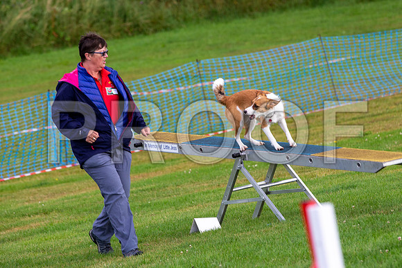0023_SpringersFunDay2019_craigshawphoto