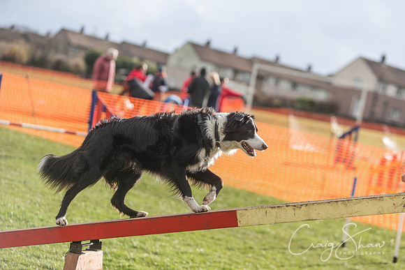 2119__SpringersFunDay_March2014_bluplanetphoto