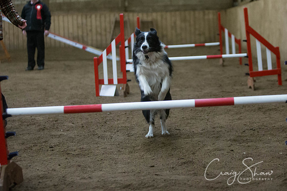 2674_springfling2015_bluplanetphoto