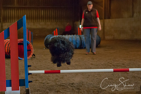 spring fling 2012-1218