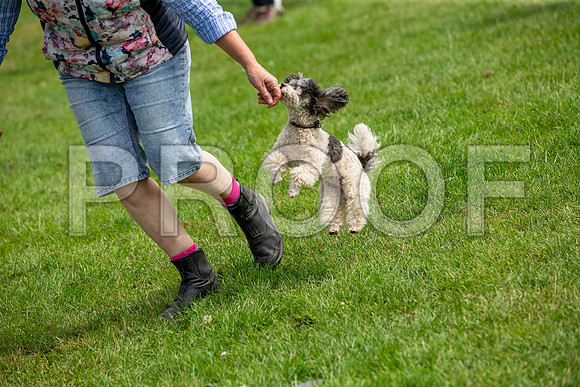 1186_SpringersFunDay2019_craigshawphoto