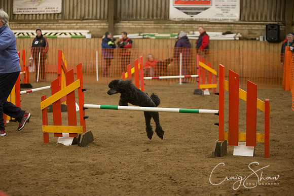 2615_springfling2015_bluplanetphoto