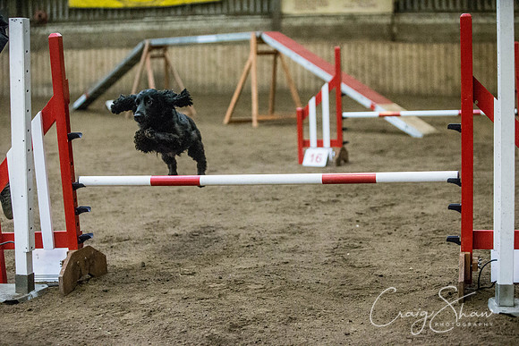 1447_springfling2015_bluplanetphoto