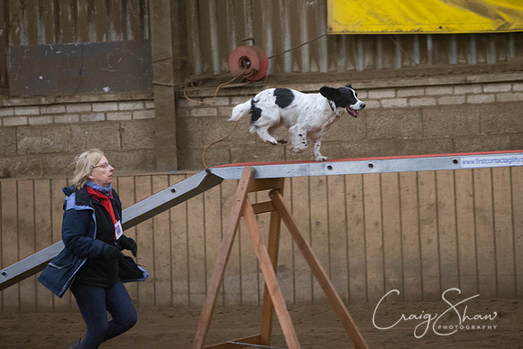 2517_springfling2015_bluplanetphoto