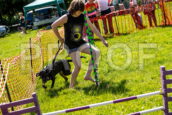 2703__PAWSFundogShow_July2022_cshaw