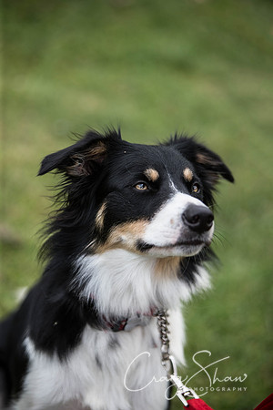 149_BarkintheParkHuddersfield_2014_bluplanetphoto-Edit
