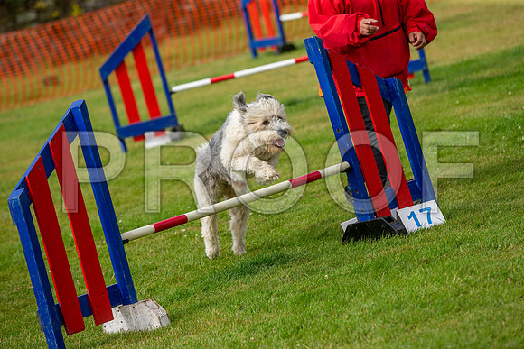 1162_SpringersFunDay2019_craigshawphoto