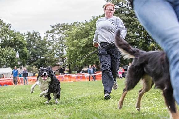 1939_BarkintheParkHuddersfield_2014_bluplanetphoto