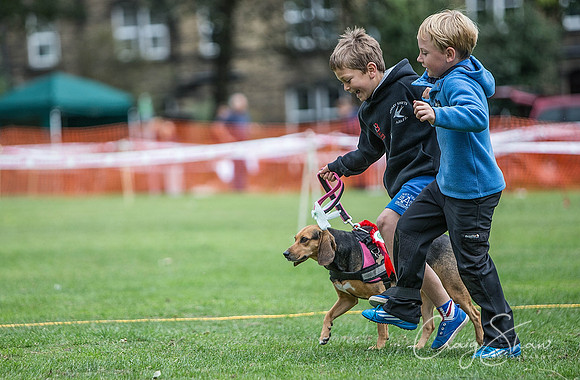 2092_BarkintheParkHuddersfield_2014_bluplanetphoto