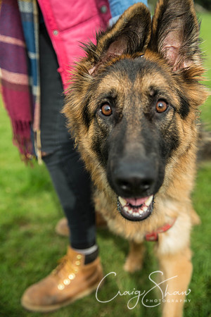 181_Woofstock2016_craigshaw