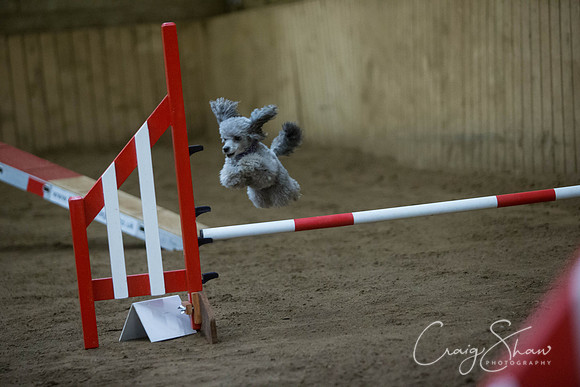 923_springfling2015_bluplanetphoto