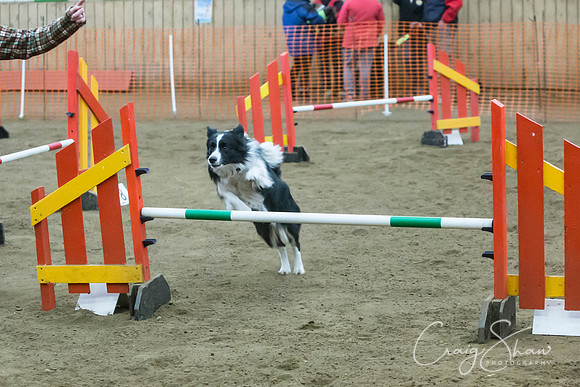 2507_springfling2015_bluplanetphoto