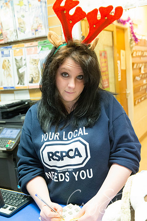 414_RSPCA_Christmas_Dec2013_bluplanetphoto