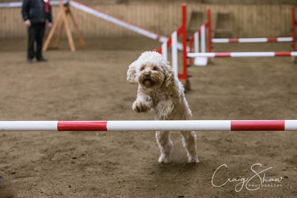 2579_springfling2015_bluplanetphoto