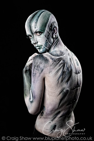 Model Portfolios