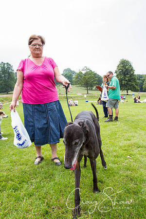 RSPCA Dog Day Afternoon