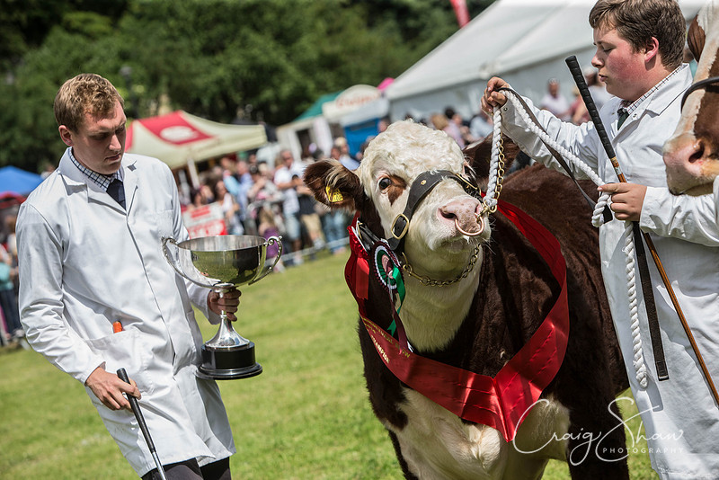 974_TodAgriculturalShow2014__bluplanetphoto
