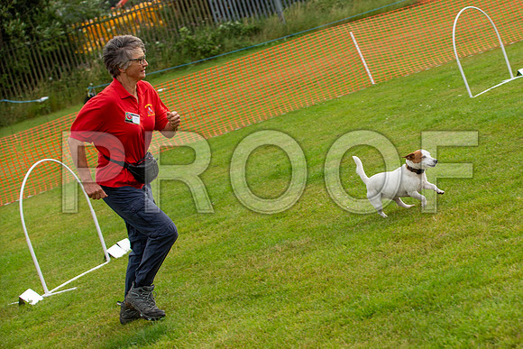0401_SpringersFunDay2019_craigshawphoto