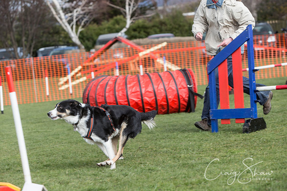 677__SpringersFunDay_March2014_bluplanetphoto