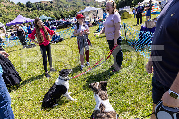 1981__PAWSFundogShow_July2022_cshaw