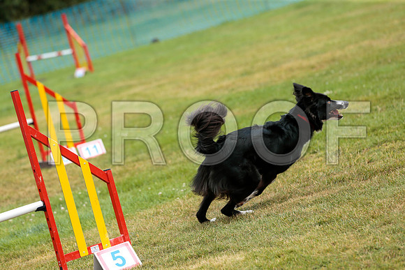 2579_SpringersFunDay2019_craigshawphoto