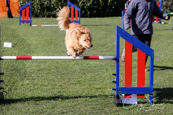1679__SpringersFunDay_March2014_bluplanetphoto
