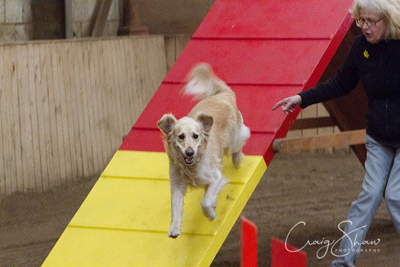 spring fling 2012-1268