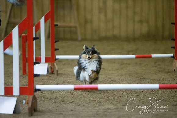 2767_springfling2015_bluplanetphoto