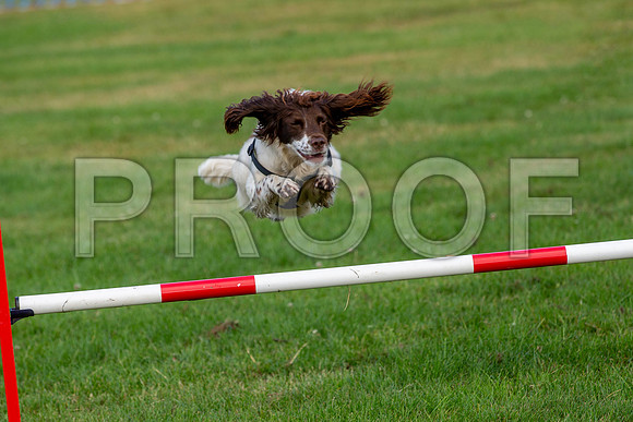 0038_SpringersFunDay2019_craigshawphoto-Edit