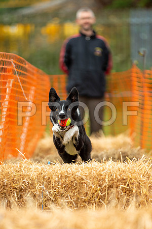 2890_SpringersFunDay2019_craigshawphoto