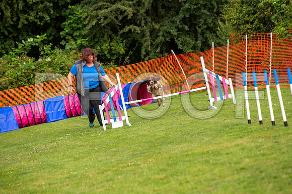 0662_SpringersFunDay2019_craigshawphoto