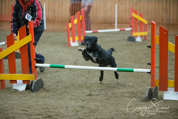 2828_springfling2015_bluplanetphoto