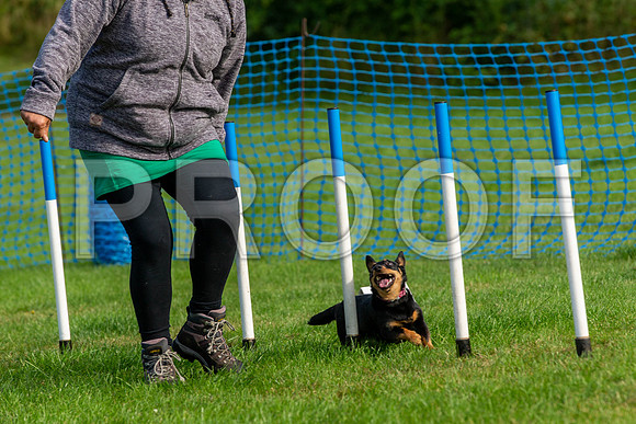 0080_SpringersFunDay2019_craigshawphoto