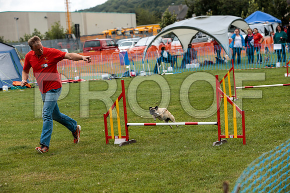 2617_SpringersFunDay2019_craigshawphoto