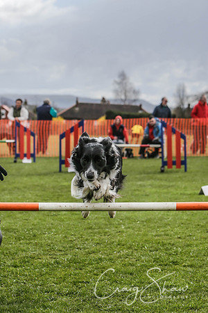 229__SpringersFunDay_March2014_bluplanetphoto