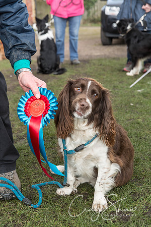 663__SpringersFunDay_March2014_bluplanetphoto