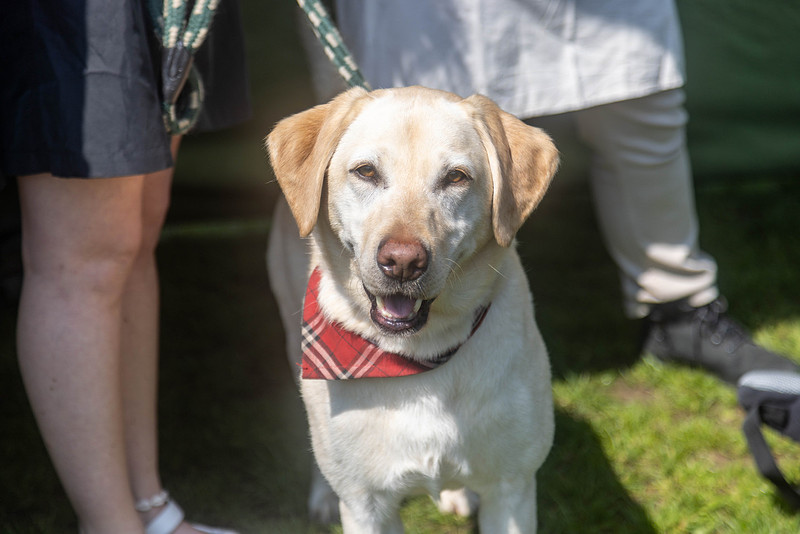394_HebdensHappyHounds2024_Cshaw-