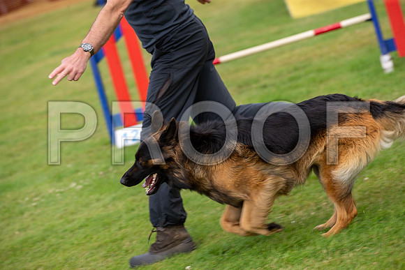 1141_SpringersFunDay2019_craigshawphoto