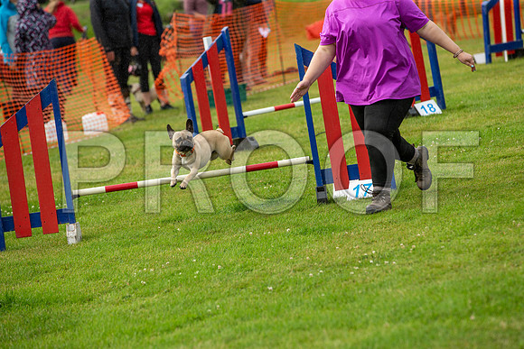0484_SpringersFunDay2019_craigshawphoto
