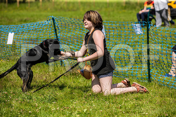 2245__PAWSFundogShow_July2022_cshaw