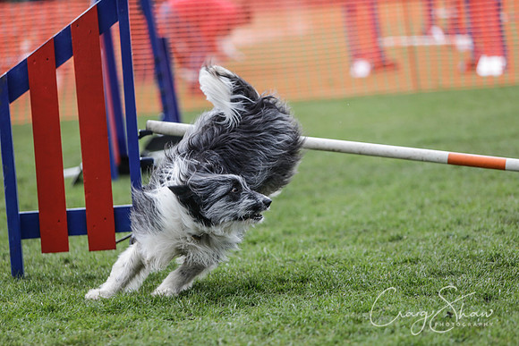 486__SpringersFunDay_March2014_bluplanetphoto