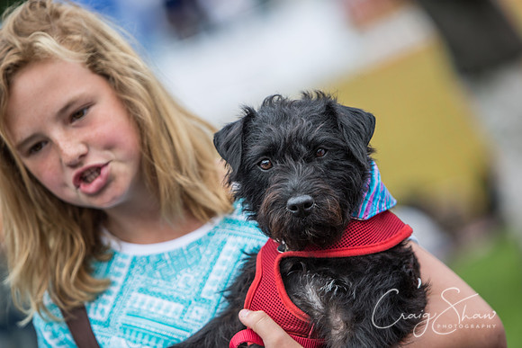 59_K9Partyinthepark2014_RSPCAHalifax_bluplanetphoto