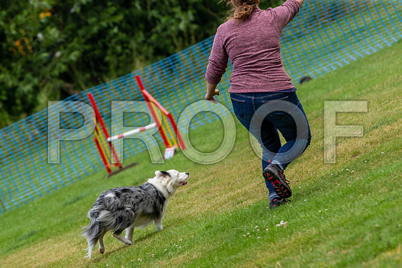 2434_SpringersFunDay2019_craigshawphoto