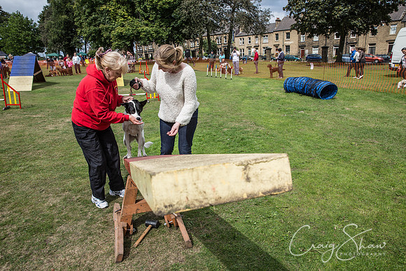 315_BarkintheParkHuddersfield_2014_bluplanetphoto