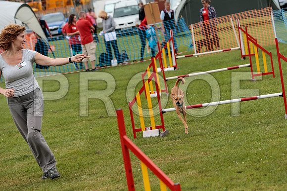 2637_SpringersFunDay2019_craigshawphoto
